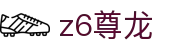 z6尊龙 - (中国)金年会z6尊龙九游娱乐安卓版欢迎您